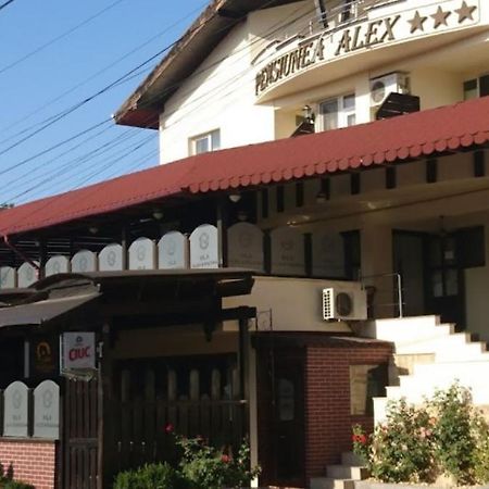 Vila Alex&Razvan Тулча Екстериор снимка